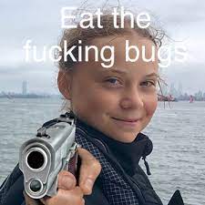 Eat the Bugs!
