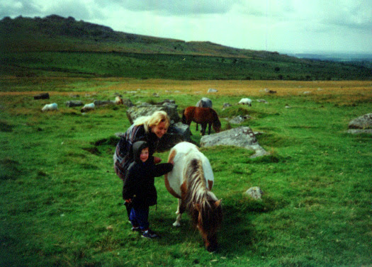 Aug 2000 Dartmoor ponies